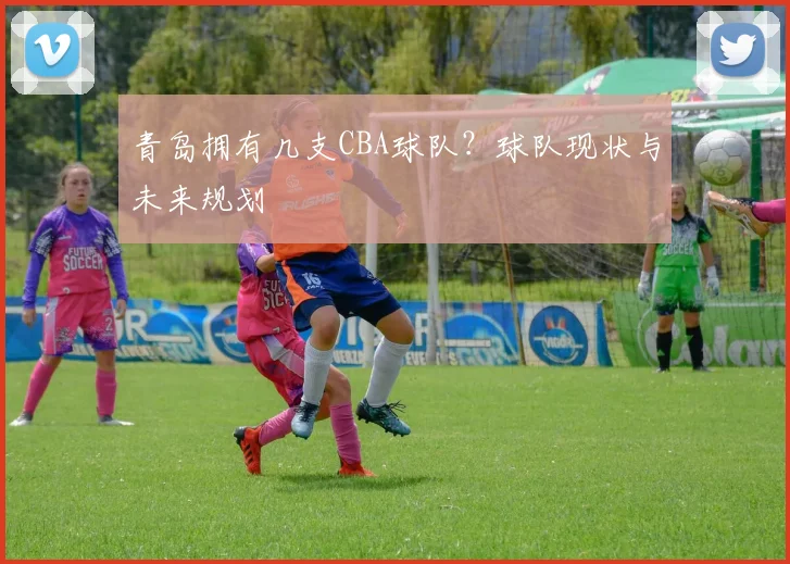 青岛拥有几支CBA球队？球队现状与未来规划