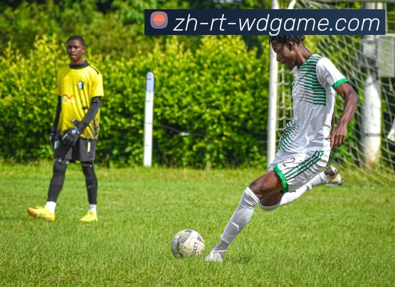 问鼎娱乐服务体系